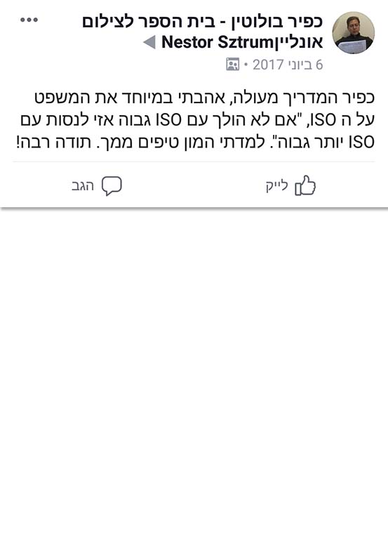 נסטור